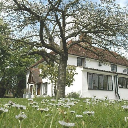 The White House Bed & Breakfast Takeley Oda fotoğraf