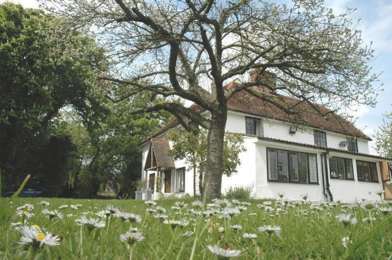 The White House Bed & Breakfast Takeley Dış mekan fotoğraf