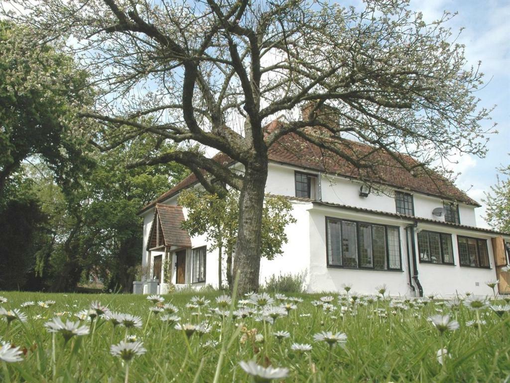 The White House Bed & Breakfast Takeley Oda fotoğraf